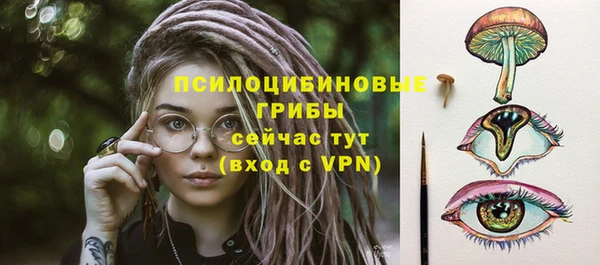 мдпв Покачи